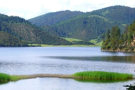 化学清洗剂、预膜剂投加完成后如何验收