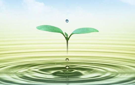 天然水中为什么会溶有杂质?