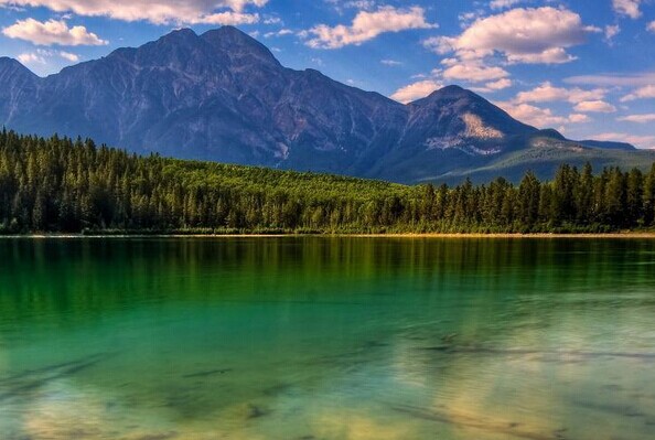 十二烷基二甲基苄基溴化铵的制备方法