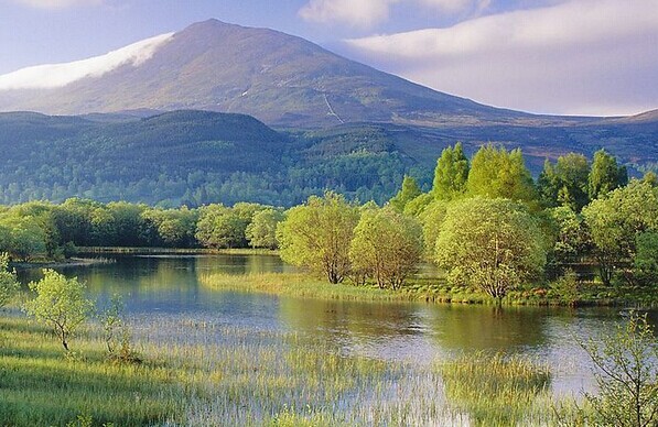 清洗剂-衣康酸的制备与防护