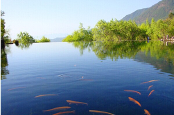 杀菌剂之过氧化氢