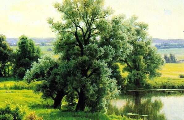 清洗剂的介绍及类型