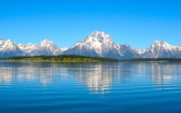 催化超临界水氧化催化剂