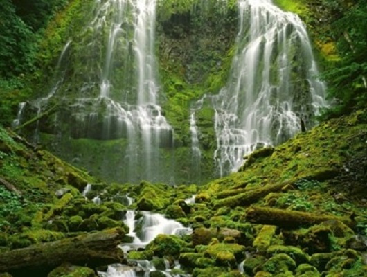 有机酸甲酸洗液清洗剂配方及作用