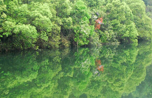 碱性清洗剂作用