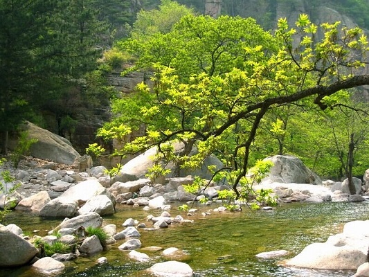 磷酸钠及聚合磷酸盐清洗剂成分及作用
