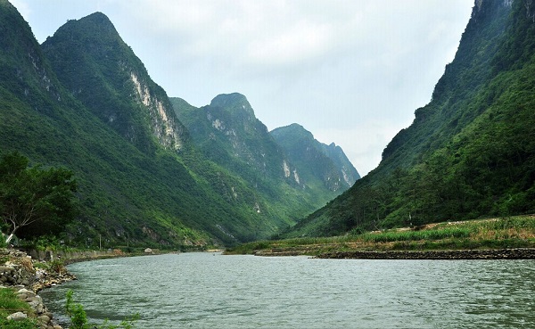 消泡剂聚硅氧烷