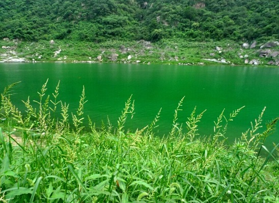 湿润剂脂肪醇聚氧乙烯醚清洗剂